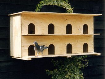wall-mounted pigeon nesting box