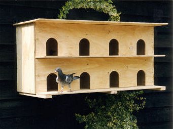 Pigeon Nest Boxes